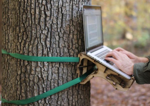 Person works at standing tree desk