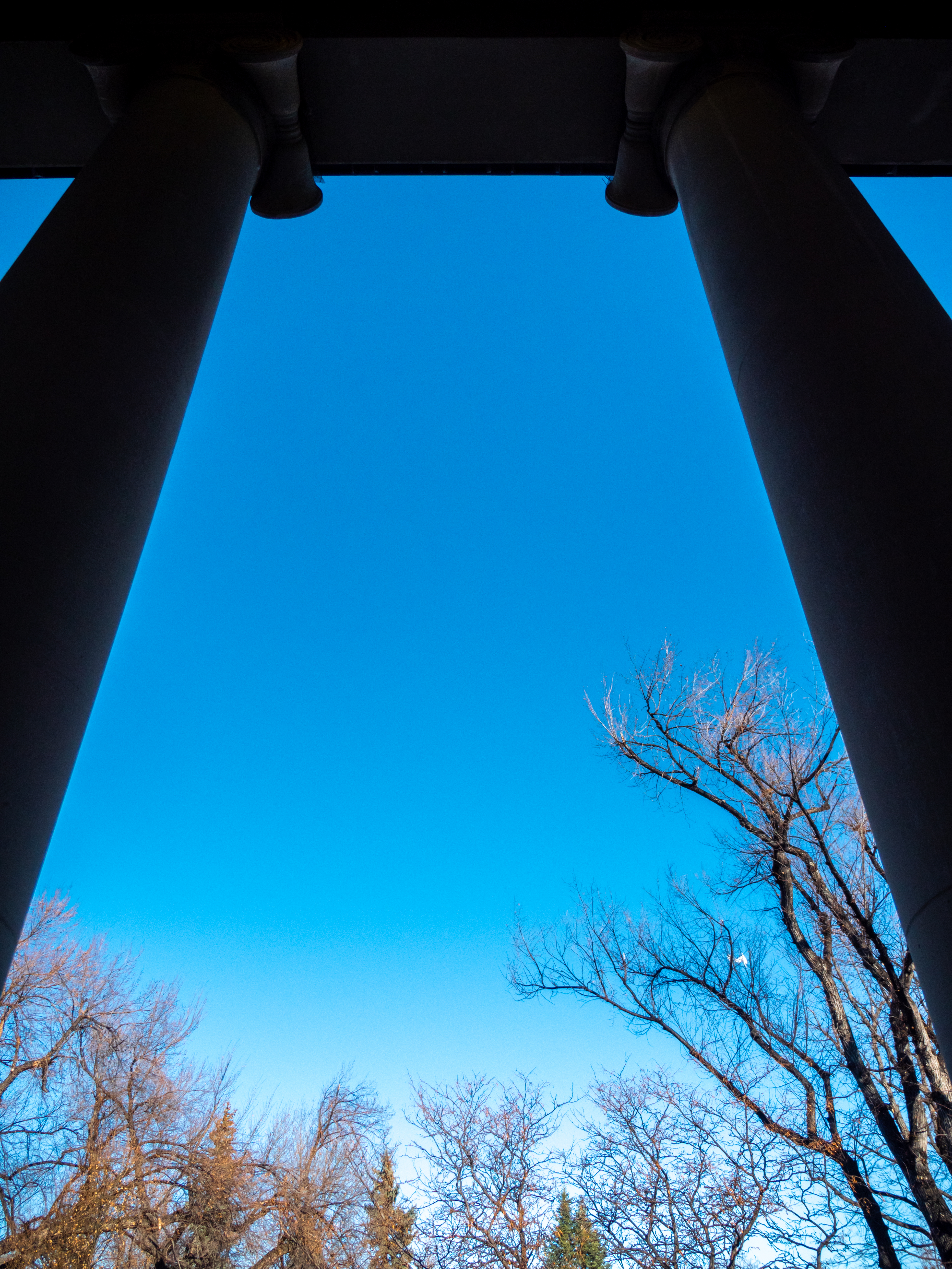Pillars on the CU Boulder campus (Photo by  Patrick Campbell/University of Colorado)