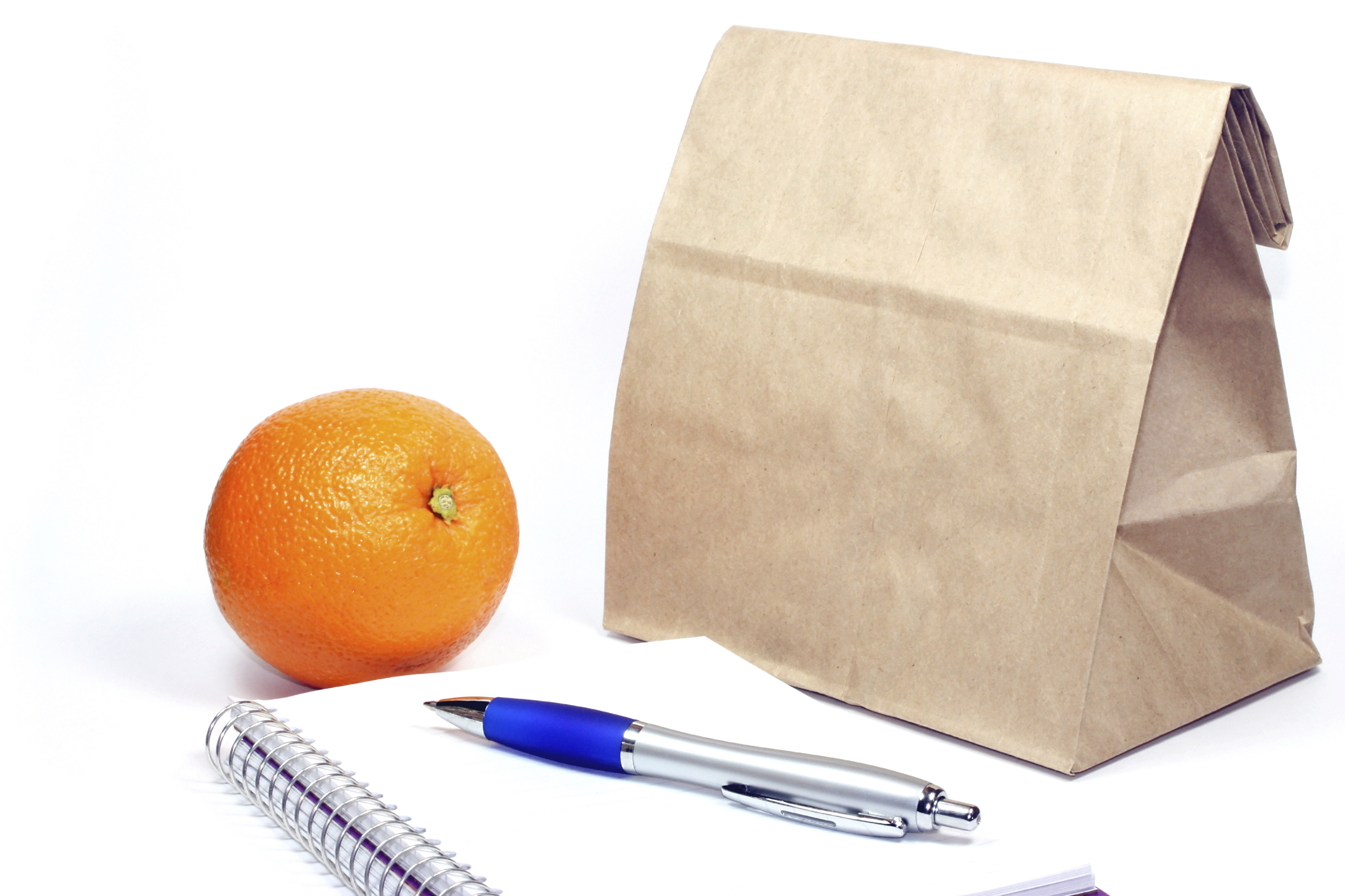 Brown bag, notebook, pen and orange