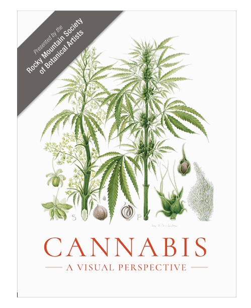 Cannabis illustrations
