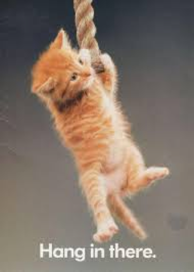 kitten hanging on rope with text that says 'hang in there'