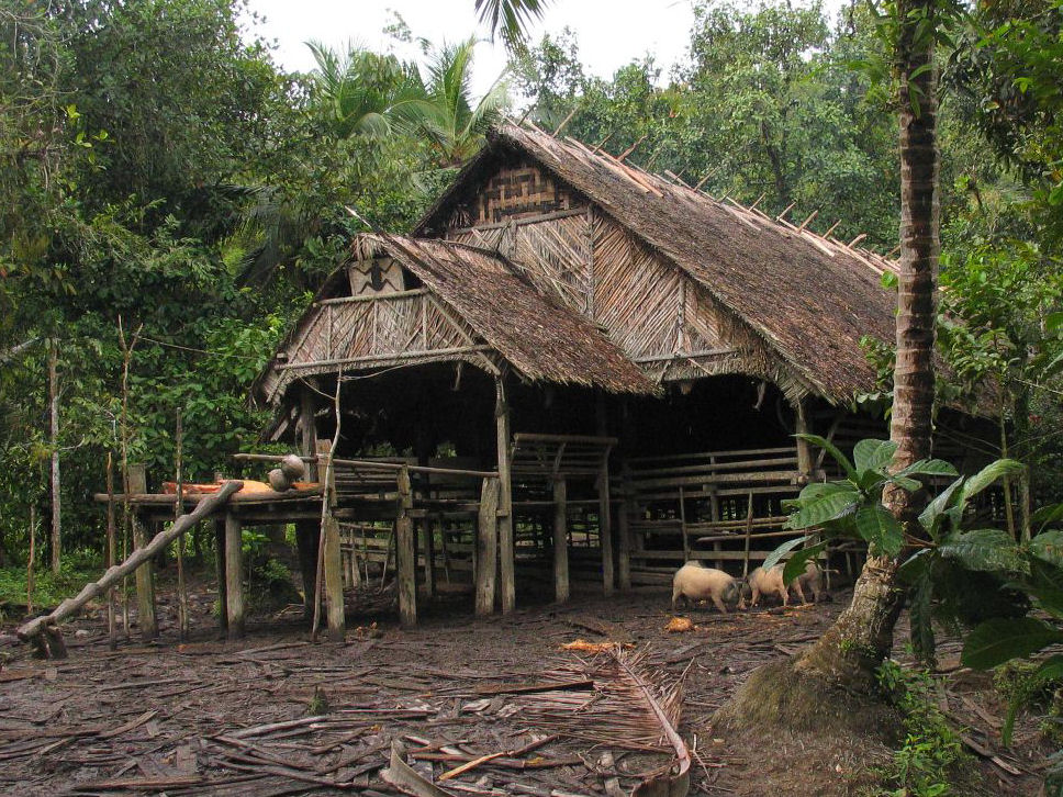 Hut in Mentawai Uma
