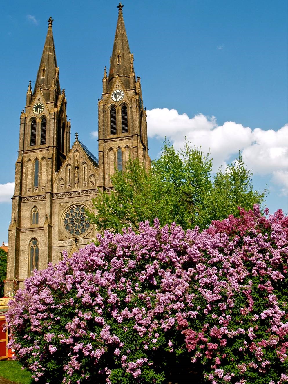 Cathedral in Prague