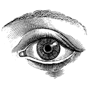 illustration of an eye