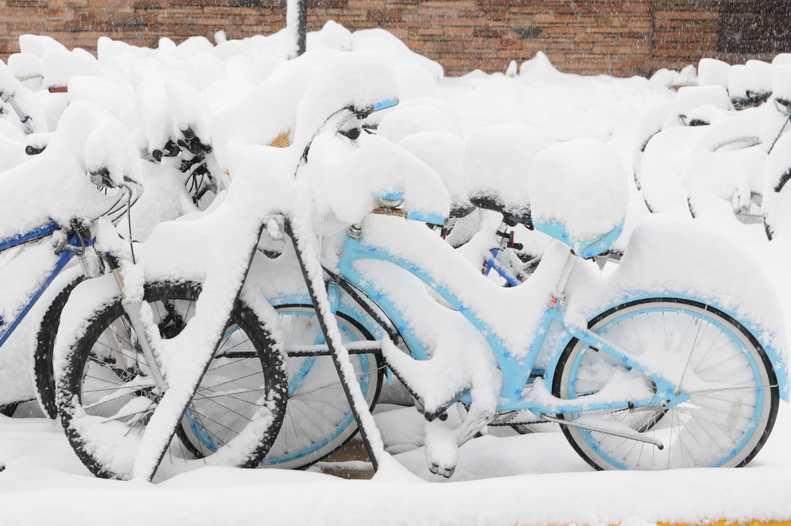 Snowy bikes
