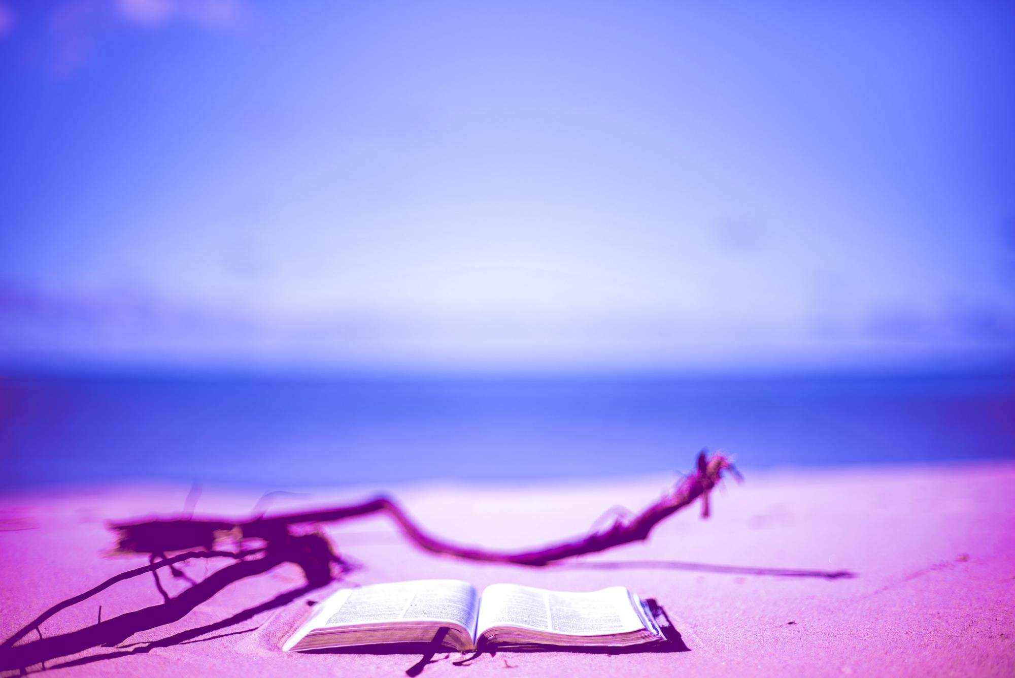Image of a book on a beach